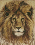 (image for) My Crazy Mane